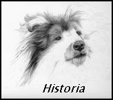 historia